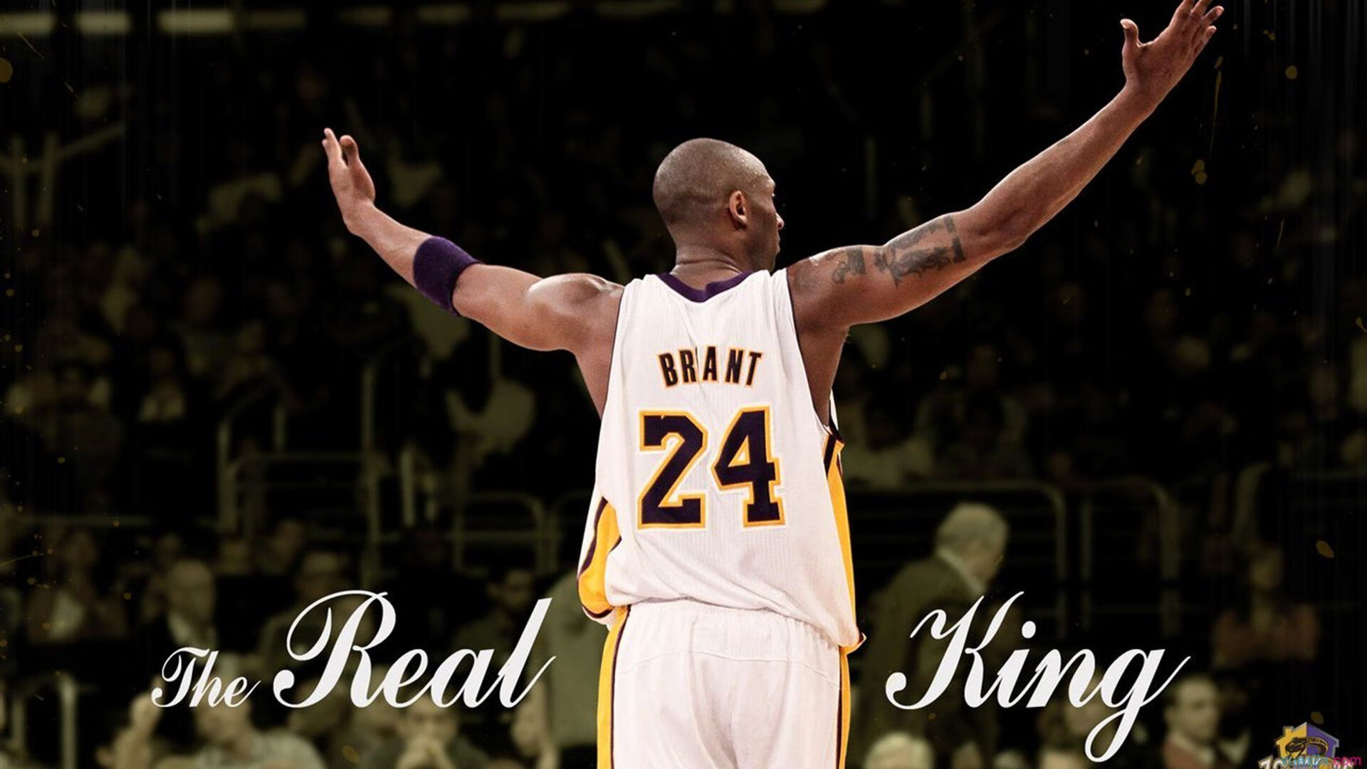 篮球文化节活动吸引众多篮球爱好者参与,篮球文化艺术节